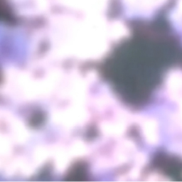 ∞