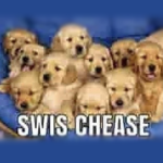 SwiftySmores Object Group