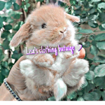 Lisa's clothing boutique