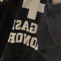 ✧