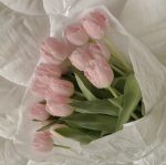 Ethereal flowers:3