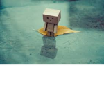error's V