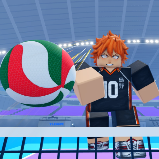 Own Volleyball and Prove Mom Wrong