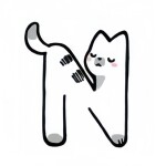N🐱