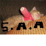 S.A.A !!!