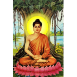 Buddha's Disciples Group Thumbnail