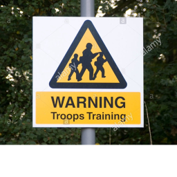 The Training Grounds