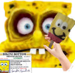 The wise sponge group
