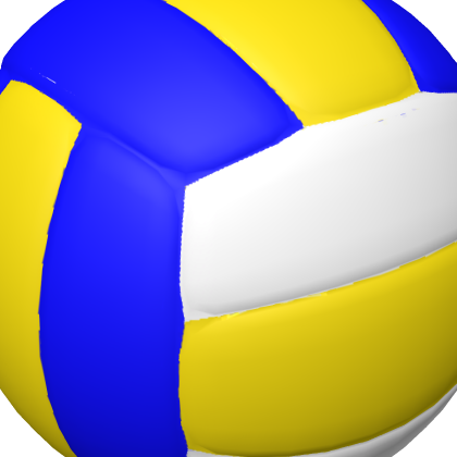 🎮 Volleyball Ball Beach Field Net