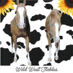 Wild West Stables