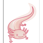 Aesthetic axolotl club