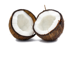 epic coconuts