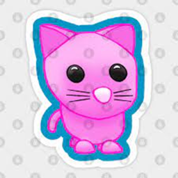Pink Cat Team's Hangout!