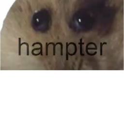 Meme City