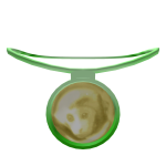 Amulet