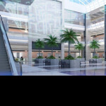 Ｐａｌｍ－　　　　　　　　Ｍａｌｌ！