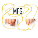 MFG Mega Fighter Group
