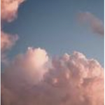 ᴘᴀsᴛᴇʟ ᴄʟᴏᴛʜɪɴɢ