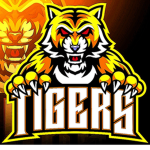 TIGERS TEAM XD XD