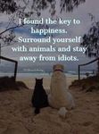 My Bestie Westies :D