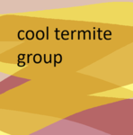 the first termite group
