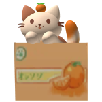 ꒰ ★ ꒱ cute kitten in a box of tangerines