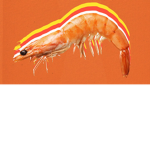 da shrimpy bois