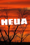 HEUA CLAN