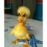 We are Kawaii!~