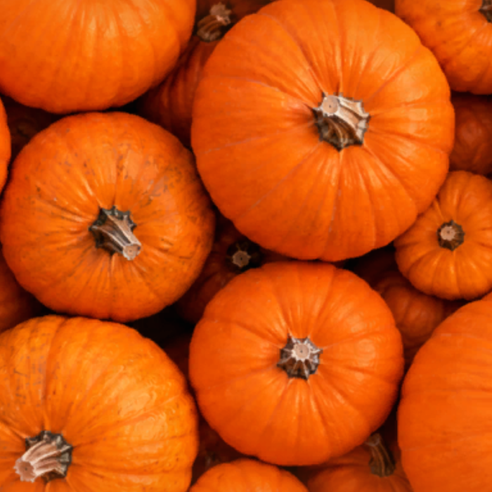Pumpkin Patch Fall Halloween Orange Background