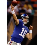 american football league (afl)