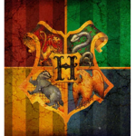 The Wizarding World Group!