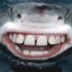 Bri'ish Shark Studios