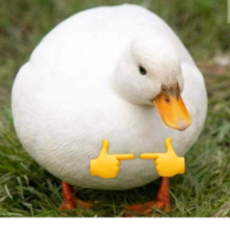 Shuba Duck Remake icon