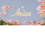 Ariisagroup
