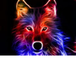 cool Filip