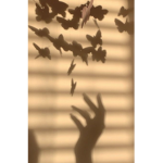 ~Zara’s Butterflies~