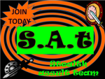 S.A.T stealth assult team