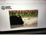 Official Roblox Group!