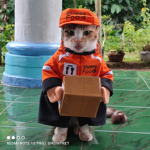 kakak cantik