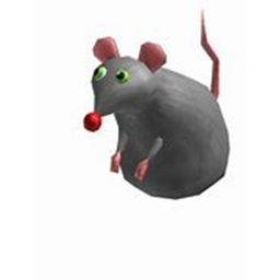 New Rats Home