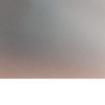 wa dustsnas