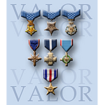 (USA) Medals and awards department