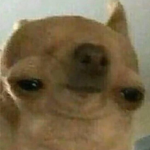 chi papi