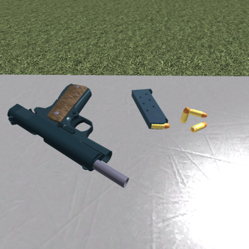 schrodinger's project