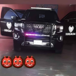 ALFAZ [35] TDLM