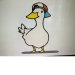 Council of the quack