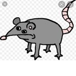The DErPy rAtS
