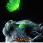 BluGaming Fan Group
