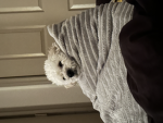 Floral_content